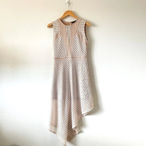 BCBG Max Azria Tracie Asymmetrical Hi Lo Lace Dress  Bare Pink Nude Sz Small - Picture 5 of 9